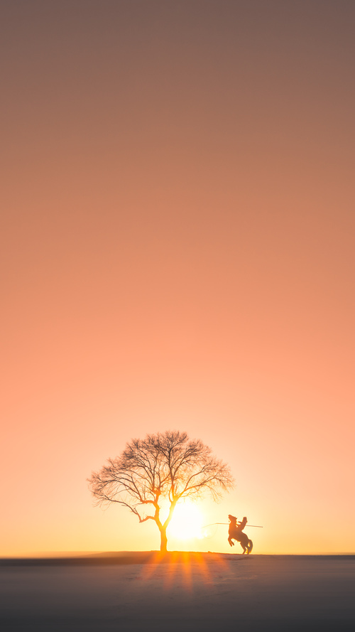 国家级体育人才培养机制改革建议,我国体育人才的培养模式