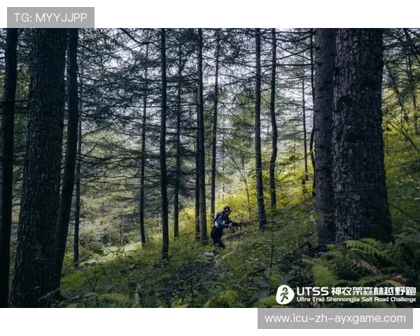 野外森林越野跑挑战赛，探索未知的自然秘境，户外越野挑战赛