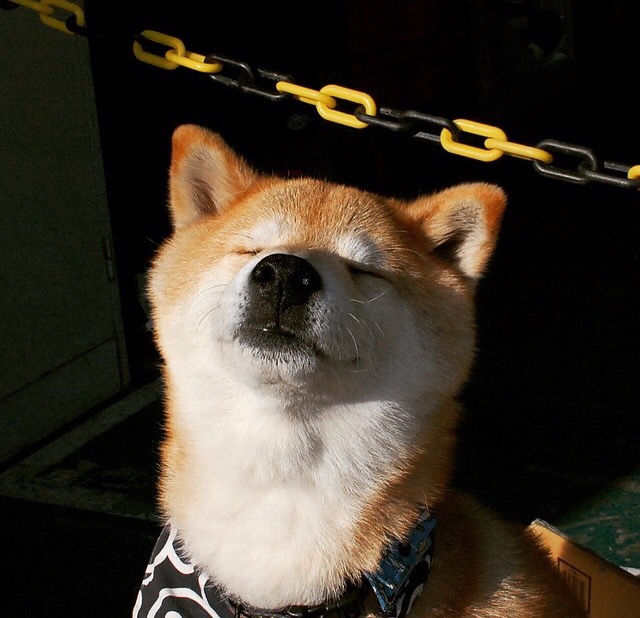 爱游戏官网充值-中小学体育课堂互动教学效果分析与优化研究，中小学体育优质课教案